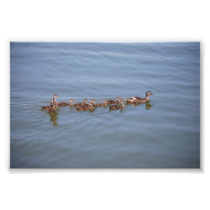 Photo 6x4 Kodak Paper Print