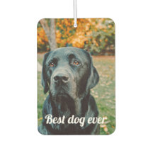 Photo and Text Custom Personalised