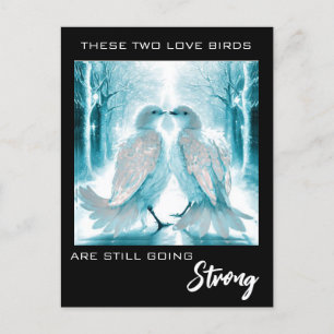 *~* PHOTO Anniversary AP54 Absract  Love Birds Postcard