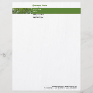 Photo Band - Japanese Maple Personalized Letterhead