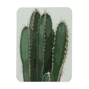 Photo cactus modern  magnet