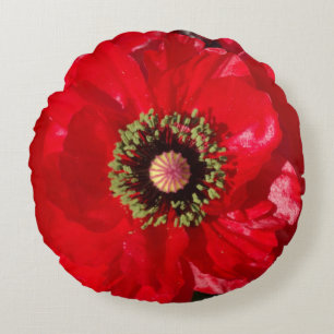 Photo California Red Poppy flower Round Cushion