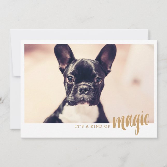 Photo card It's a kind of magic (Front)