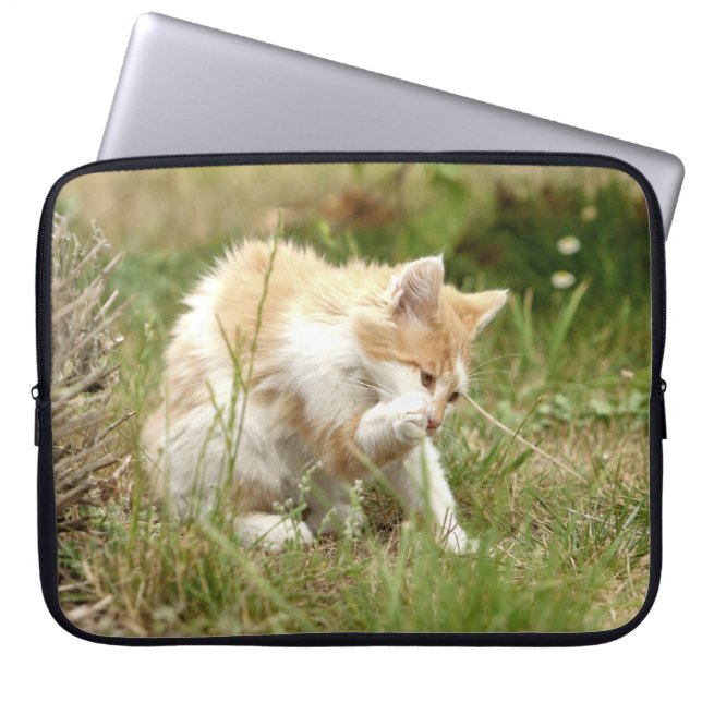 Photo cat , animals laptop cases .  (Front)