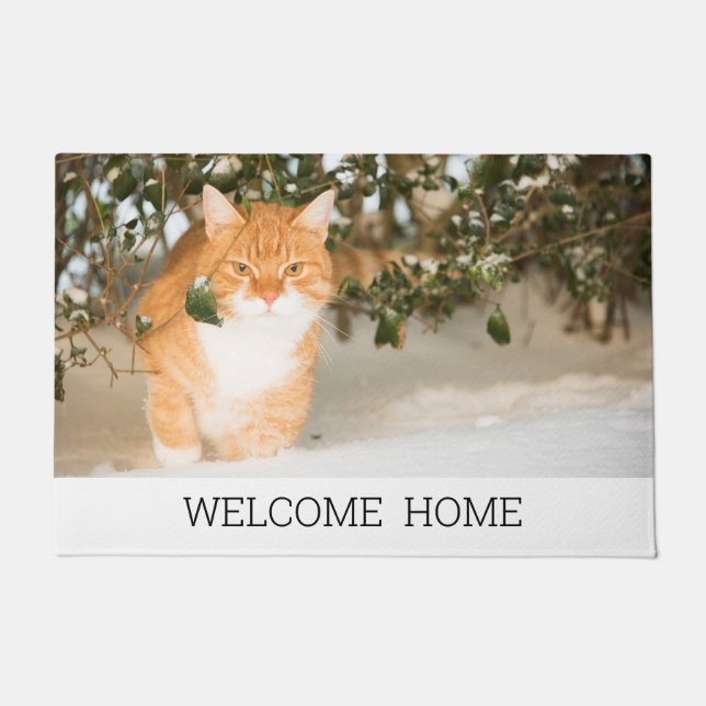 Photo cat kitten welcome home family doormat (Front)