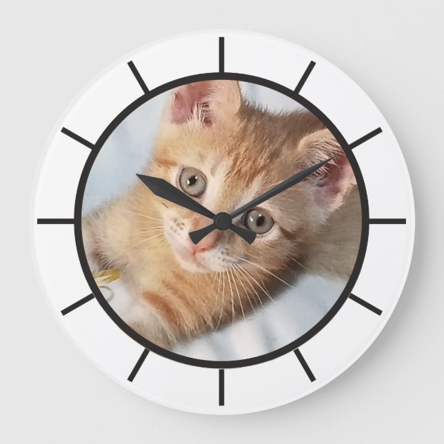 Photo. Cat, Text, replaceable, Funny  Large Clock (Front)
