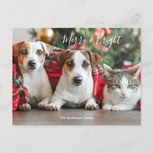 Photo Christmas Holiday Postcard