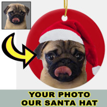 Photo Christmas Santa Hat on Your Dog Puppy       