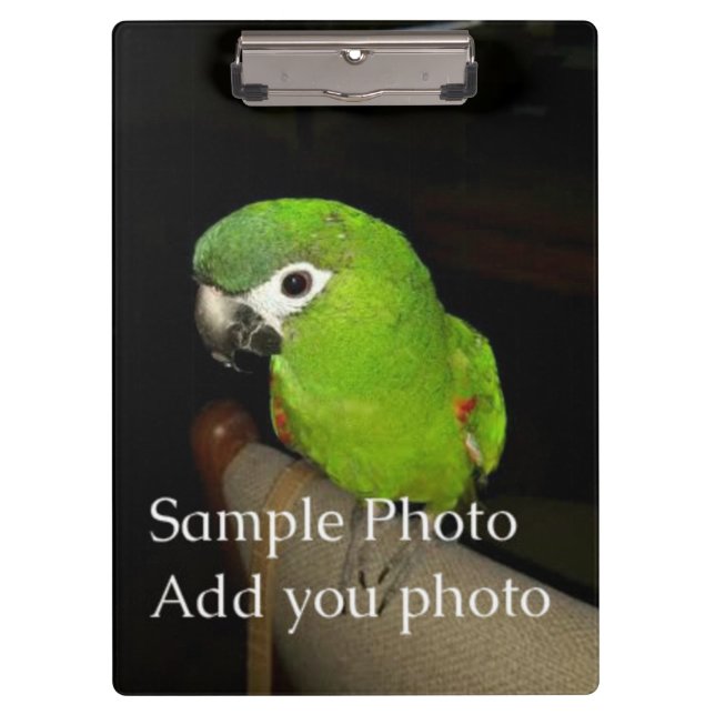 Photo Cllipboard (on both sides) Clipboard (Front)
