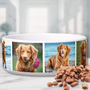 Photo Collage Simple Pet Bowl