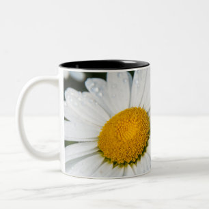 photo cup, a daisy, green Two-Tone coffee mug