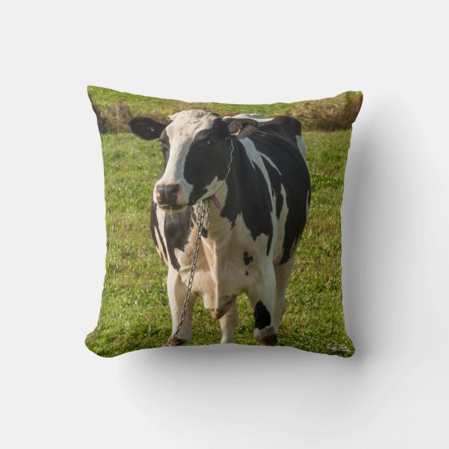 Photo cushion of cow (Front)