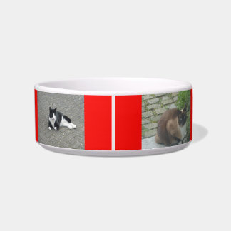 Photo Cust. Pet Bowl