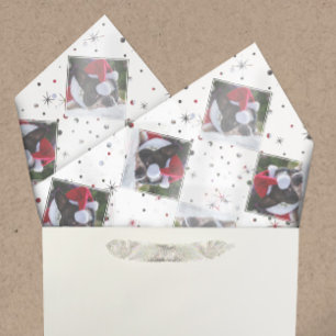 Photo Custom Colour-Matching Snow & Stars   Pets Tissue Paper