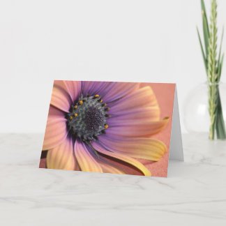 Photo & design by Charmaine French-Allaka 112010 Card