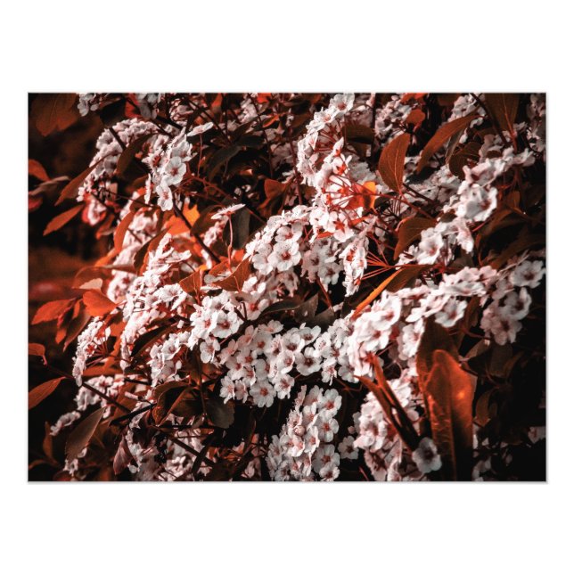 Photo elargement paper print (Front)