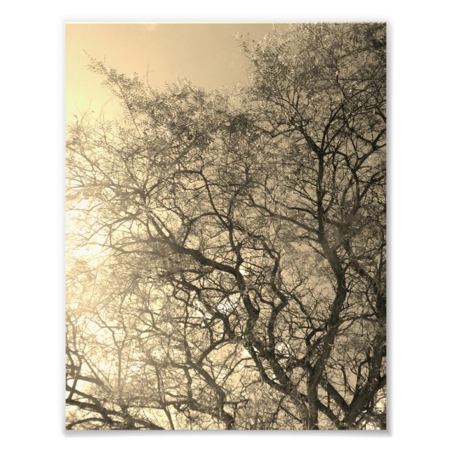 Photo Enlargement (Front)