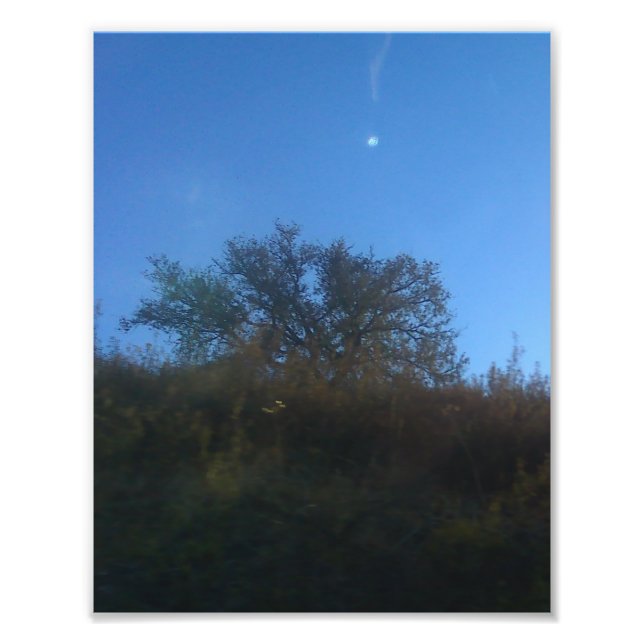 Photo Enlargement (Front)