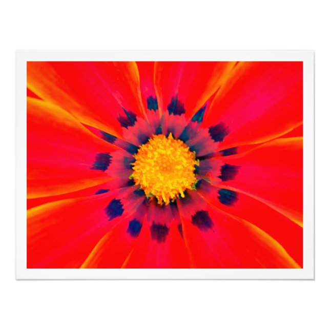 Photo Enlargement Print (Front)