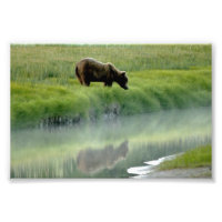 Photo Enlargement
