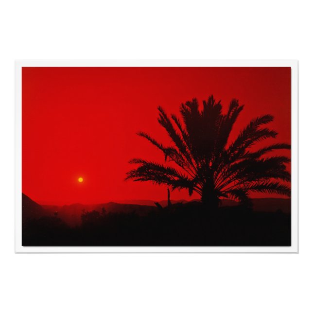 Photo Enlargement Print (Front)