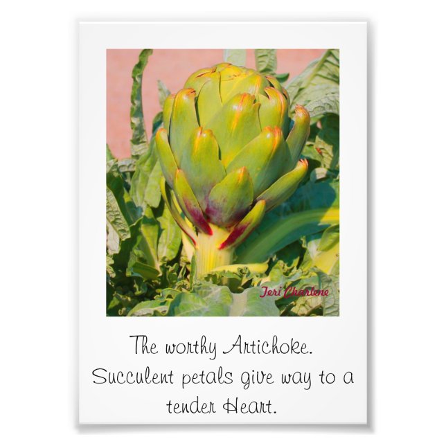 Photo Enlargement Print (Front)