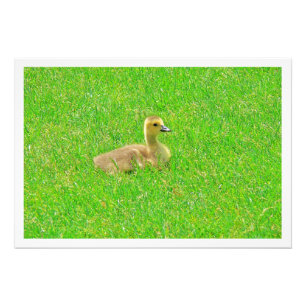 Photo Enlargement Print