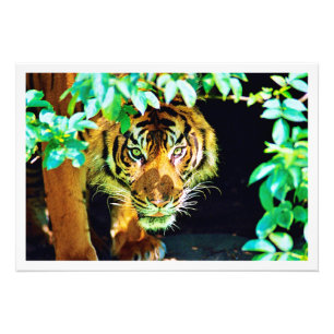 Photo Enlargement Print