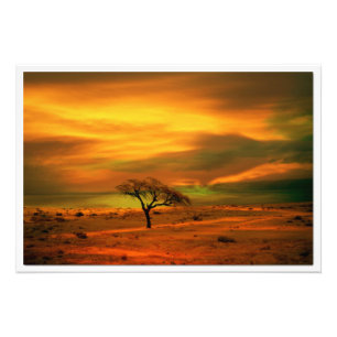 Photo Enlargement Print