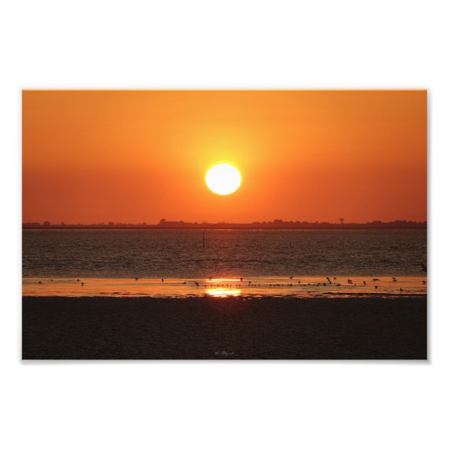 Photo enlargement print (Front)