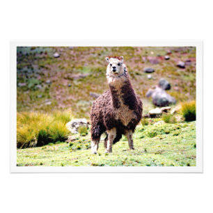 Photo Enlargement Print