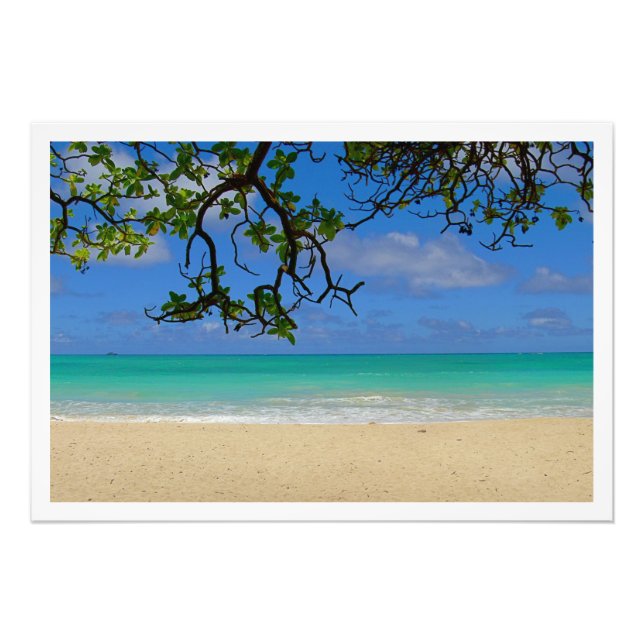 Photo Enlargement Print (Front)