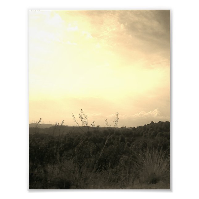 Photo Enlargement Print (Front)