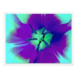 Photo Enlargement Print