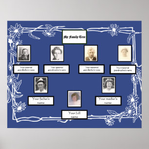 Photo Family Tree Daisy Art Border on Blue Poster