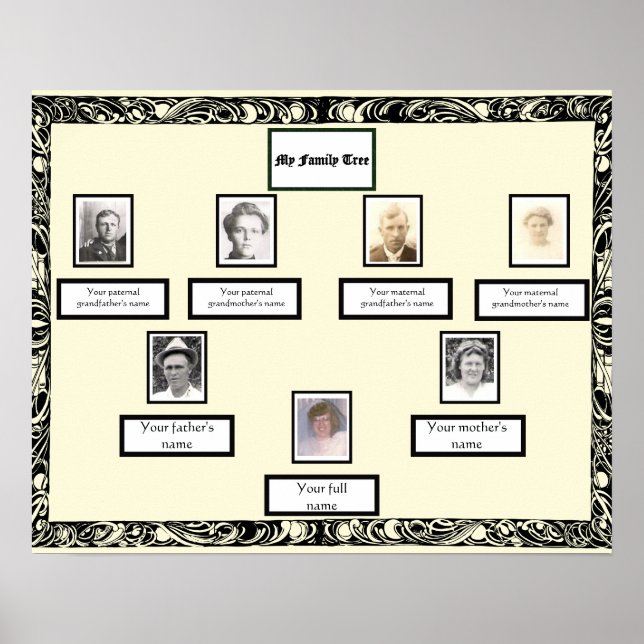 Photo Family Tree Vintage Swirl Border on Cream Poster (Front)