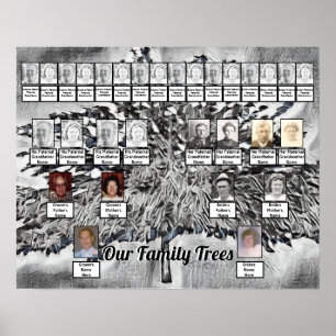 Photo Family Trees on Black and White Digital Art  Poster