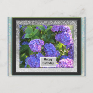 Photo Frame Birthday Post Card