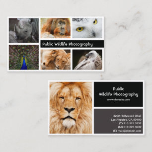 Photo Frame Photography Photographer Business Card