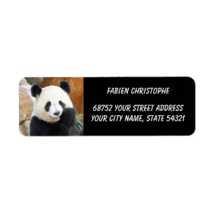 Photo giant panda , animals 0344. return address label