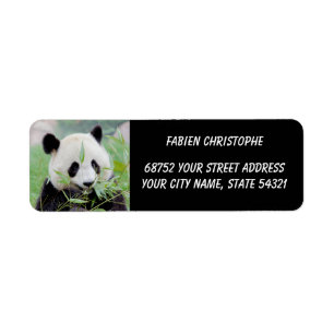 Photo giant panda , animals 0345. return address label