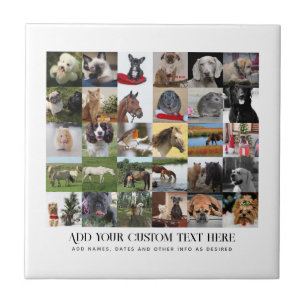PHOTO GIFTS TEMPLATES FAMILY FRIENDS PETS CUSTOM CERAMIC TILE