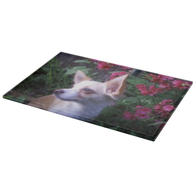 Photo Glass Cutting/Charcuterie Board (Corner)