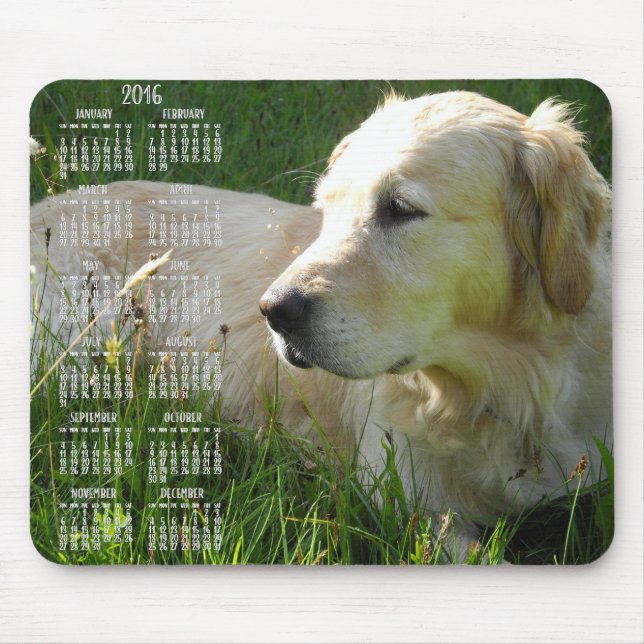 Photo Golden Retriever Calendar 2016 Mouse Pads (Front)