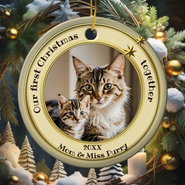 Photo Green Gold First Christmas Together Cat  Ceramic Ornament (Elegant ornament featuring your custom photo framed by a pastel green gold design with stars)
