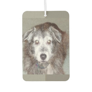 Photo Heart Shape Personalise Car Air Freshener