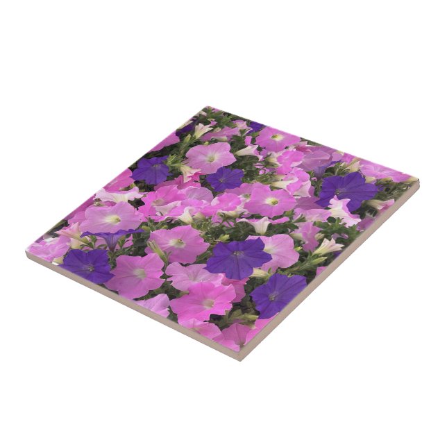 Photo Image Of Morning Glory Pink & Purple Flowers Ceramic Tile (Side)