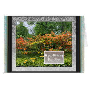 Photo Images for Sister Birthday Card