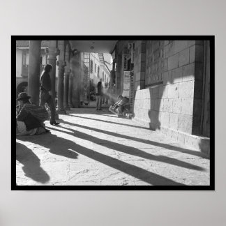 photo IV portfolio #10 Poster