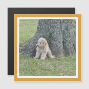 Photo Keepsake Modern Template Yellow Magnet